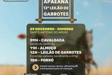 imagem 2ª Cavalgada APAEANA e 13º Leilão de Garrotes 