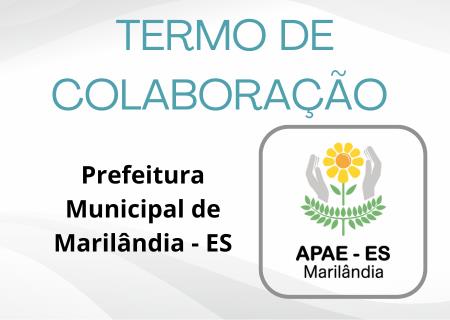 imagem MUNICÍPIO - APAE
