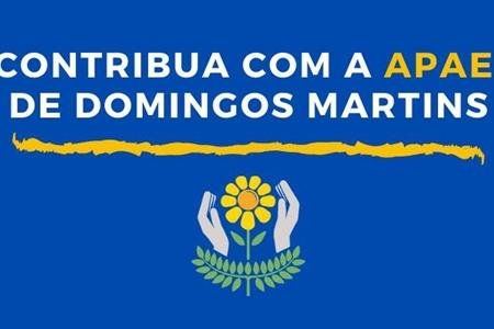 imagem Contribua com a APAE de Domingos Martins